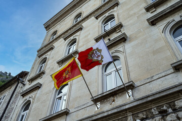 Drapeaux du Montenegro