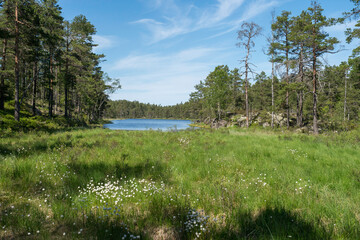 See Norra Märdetjärnen im Nationalpark Tresticklan, Schweden