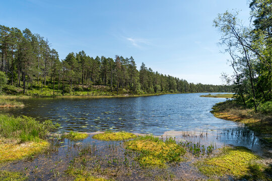 See Norra M&auml;rdetj&auml;rn im Nationalpark Tresticklan, Schweden