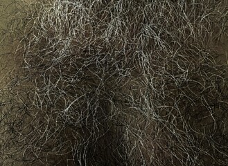 
furry chest