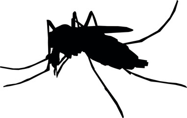 black mosquito silhouette vector illustration showing insect shape with long legs and wings	