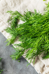 Raw Organic Green Dill Herb