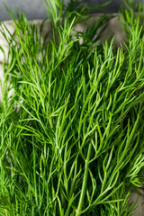 Raw Organic Green Dill Herb
