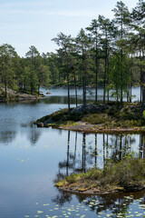 Im Nationalpark Tresticklan, Schweden