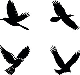 set of silhouettes of birds