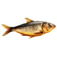 Naklejka premium [Transparent Background PNG]Smoked Fish with Herbs Close-up Image