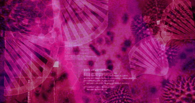 Floating three pink DNA helices over lab interface, with viral motifs and code text