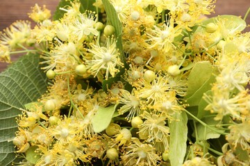Beautiful linden flowers and green leaves on table, closeup