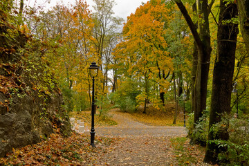 autumn park with paths strewn with yellow leaves. Landscape with autumn trees and a lantern