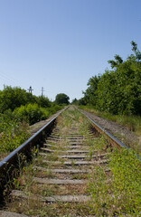 A railroad track with trees