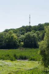 A field with trees and grass