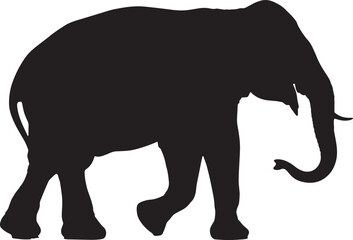Obraz premium elephant silhouette vector