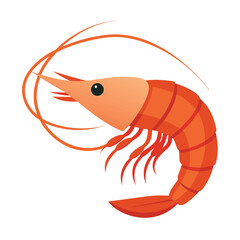 Shrimp vector illustration isolated on white background