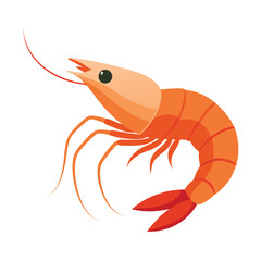 Shrimp vector illustration isolated on white background