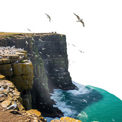 Seabirds Nesting and Soaring Around Rugged Ocean Cliffside