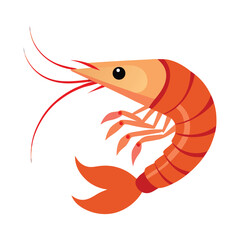 Shrimp vector illustration isolated on white background