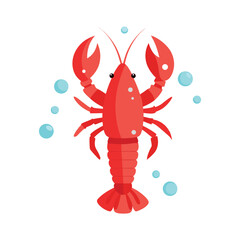 Shrimp vector illustration with water drop  isolated on white background