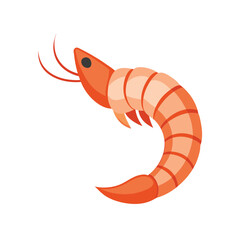 Shrimp vector illustration isolated on white background