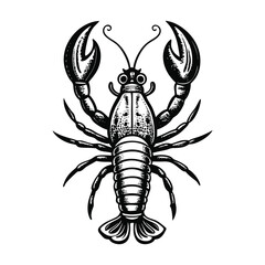 Vector illustration of lobster fish isolated on white background