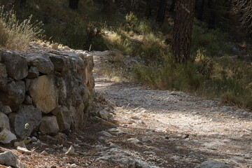 Sendero de tierra en el bosque con pequeño muro de contención en rocas apiladas, Alcoy, España
