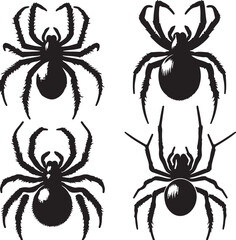 Spider text icon silhouette vector with white background