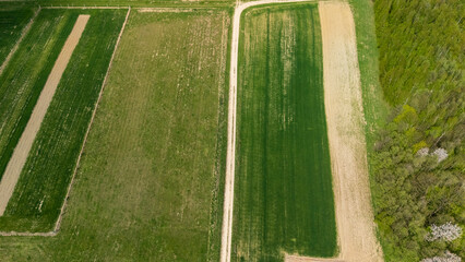 Aerial view of vibrant green and brown agricultural fields intersected by a dirt road, showcasing the beauty of rural land in springtime on a sunny day.