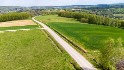 A scenic aerial view of a winding road through vibrant green fields and patches of farmland, showcasing the serene beauty of rural landscapes in springtime.