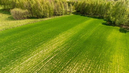 Aerial view of a vibrant green field surrounded by lush trees during a sunny day. Ideal for representing nature, agriculture, and outdoor themes.