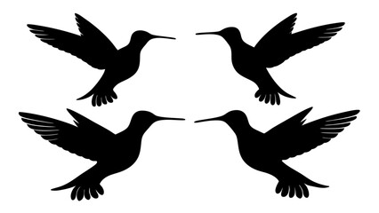 Obraz premium humming bird silhouette vector illustration on tranparent background