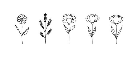 Organic Bloom Forms. A fluid set of abstract floral illustrations with round petals and delicate symmetry, ideal for contemporary design and textiles.