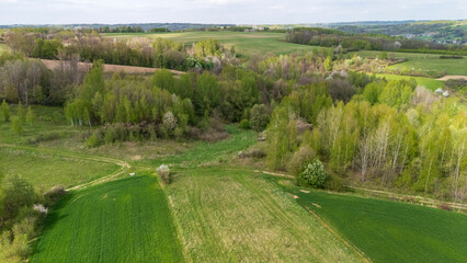 Aerial view of lush green fields and forests under a clear sky. The vibrant landscape showcases agricultural land bordered by trees, representing nature's beauty in spring.