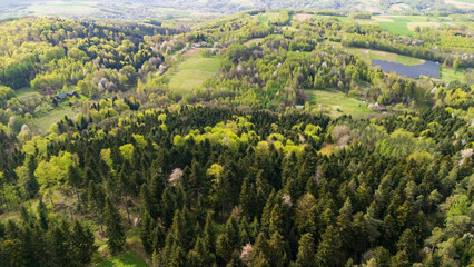 Aerial view of lush green forests and fields in spring. The landscape features a vibrant mix of foliage and farms, showcasing nature's beauty and tranquility.