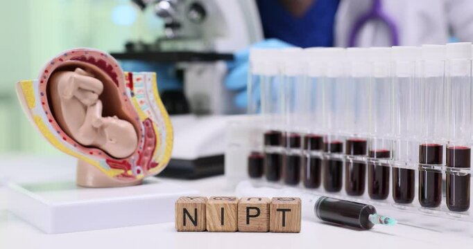 A laboratory setup designed specifically for NonInvasive Prenatal Testing, utilizing blood samples and an embryo model