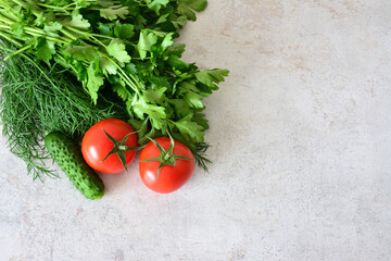 Fresh Vegetables Tomatoes, Cucumber, Parsley and Dill copy space