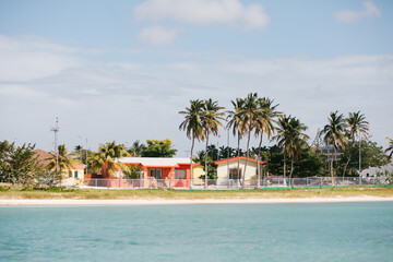 Colorful houses near the beach with palm trees and clear blue sky in a tropical location