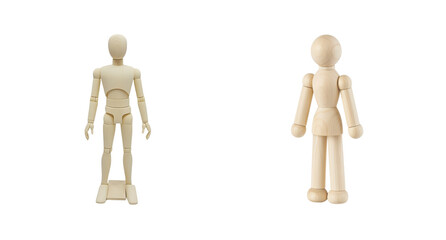 Wooden mannequin figure front and back view isolated on transparency background with natural texture and smooth surface