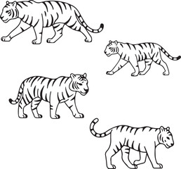 Majestic Tigers: Line Art Illustrations of Walking Big Cats