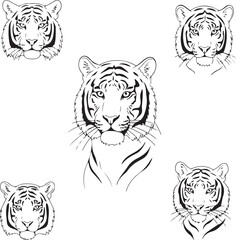 Majestic Tiger Head: Line Art Prints & Designs