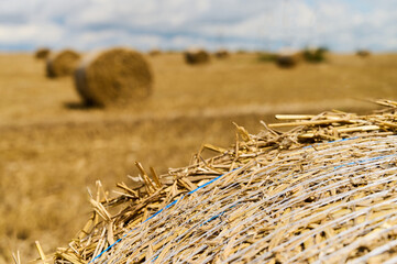 Straw bales lie in rows across a golden field, showcasing the aftermath of a recent harvest during daytime.