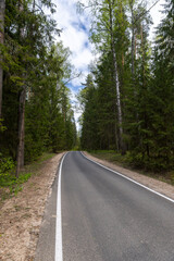 A beautiful road winding through a dense forest, bordered by vibrant green trees