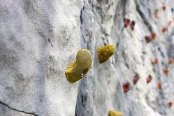 indoor wall climbing holders on close up