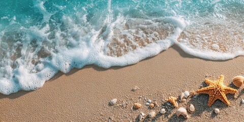 Ocean waves gently lapping on a sandy beach, with scattered seashells and a starfish
