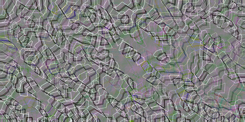 lavender field in provence