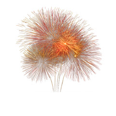 Fire in the Night: Luxe Red and Gold Explosions transparent background