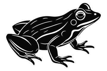 Simple line art shows a frog with big eyes and sleek legs