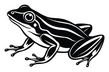 Stylized frog features bold black and white patterns on a light background