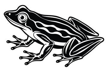 The isolated black and white frog has a unique pattern on its body