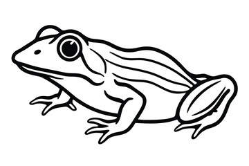 A smiling green frog sits in front of a circular yellow backdrop