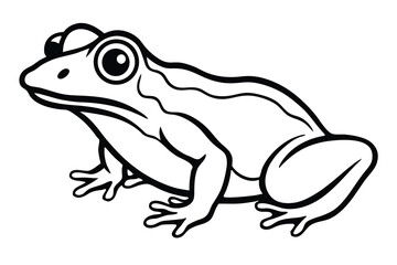 Smiling green frog with big eyes shows its light yellow belly