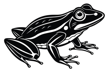 Isolated sketch shows a toad with detailed limb and eye features